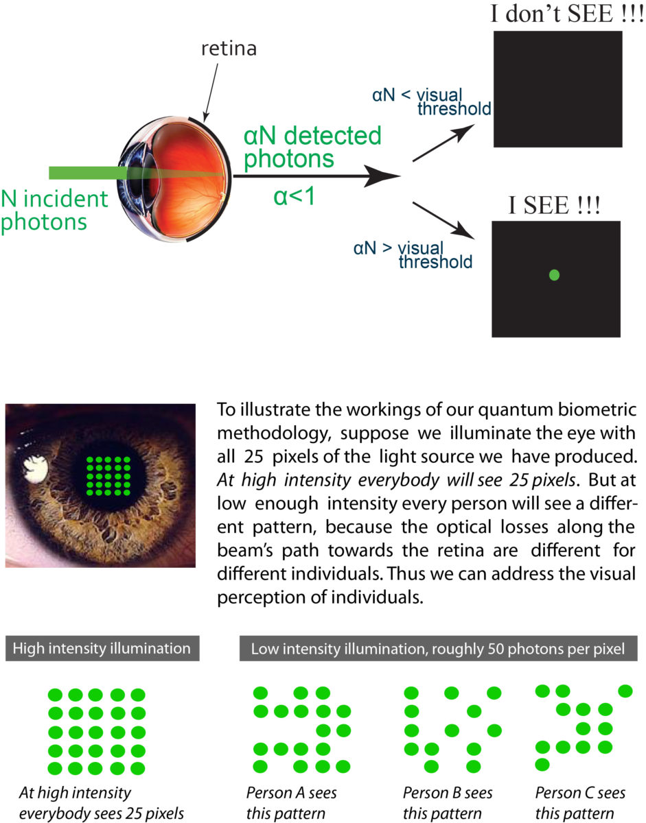 Quantum Biometrics