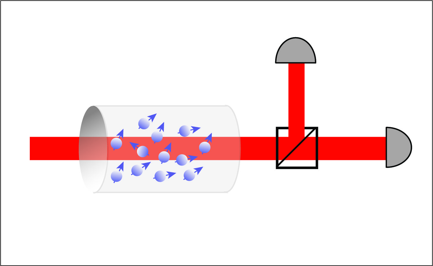 Measurement of transverse spin-relaxation rates in a rubidium vapor by use of spin-noise spectroscopy